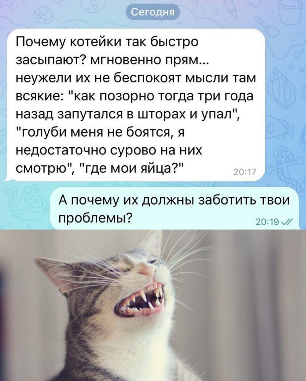 Почему котейки так быстро засыпают? мгновенно прям... неужели их не беспокоят мысли там всякие: 