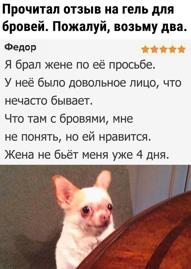 Прочитал отзыв на гель для бровей. Пожалуй, возьму два.

Федор

Я брал жене по её просьбе. У неё было довольное лицо, что нечего бывает. Что там с бровями, мне не понять, но ей нравится. Жена не бьёт меня уже 4 дня.