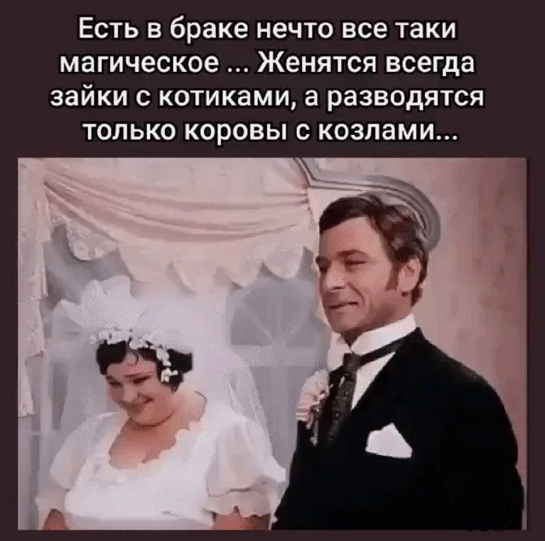 Есть в браке нечто все таки магическое ... Женятся всегда зайцы с котиками, а разводятся только коровы с козлами...