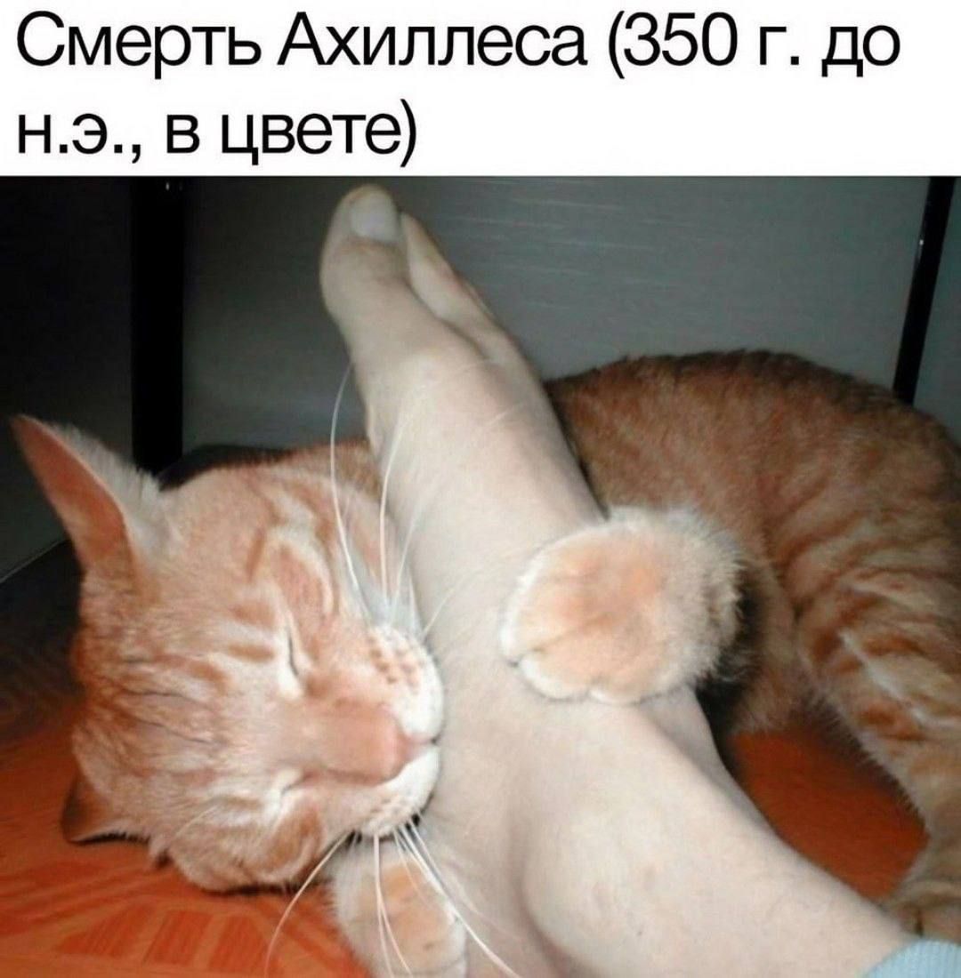 Смерть Ахиллеса (350 г. до н.э., в цвете)