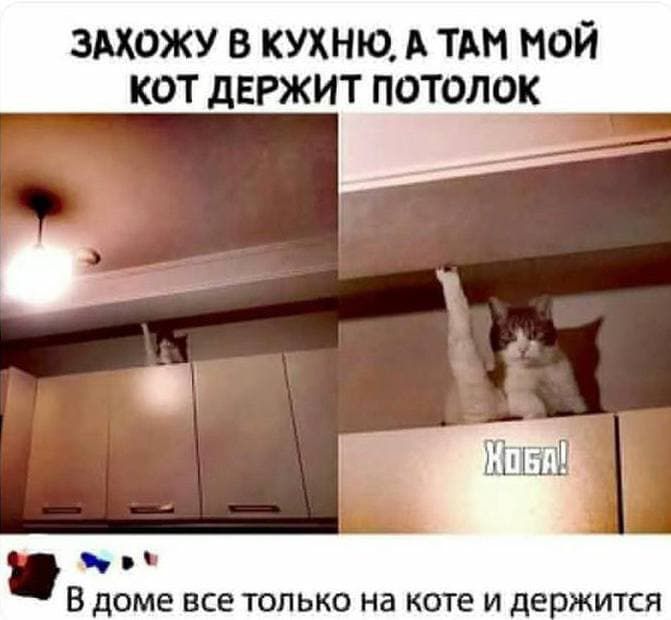 ЗАХОЖУ В КУХНЮ, А ТАМ МОЙ КОТ ДЕРЖИТ ПОТОЛОК
В доме все только на коте и держится
ХОБА!