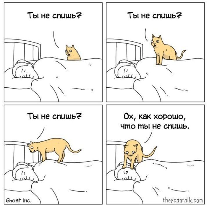 Ты не спишь? Ты не спишь? Ты не спишь? Ох, как хорошо, что ты не спишь.