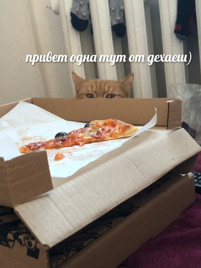 привет одна тут от дехаеш)