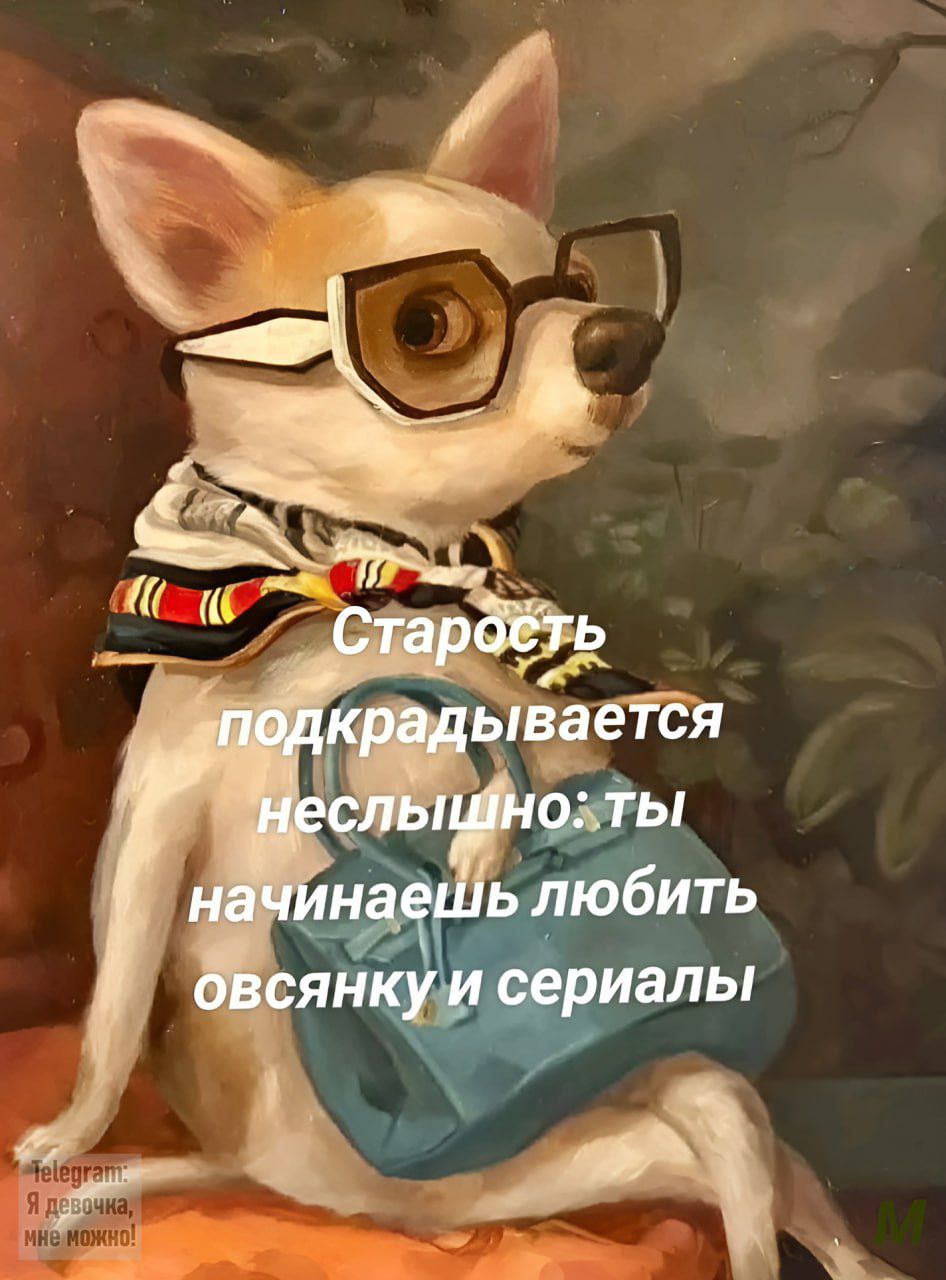 Старость подкрадывается неслышно: ты начинаешь любить овсянку и сериалы