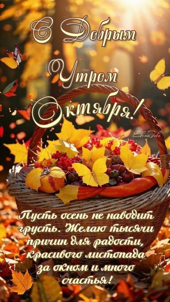 С Добрым Утром Октября!
Пусть осень не наводит грусть. Желаю тысячами причин для радости, красивого листопада за окном и много счастья!
