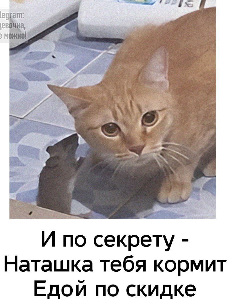 И по секрету - Наташка тебя кормит Едой по скидке
