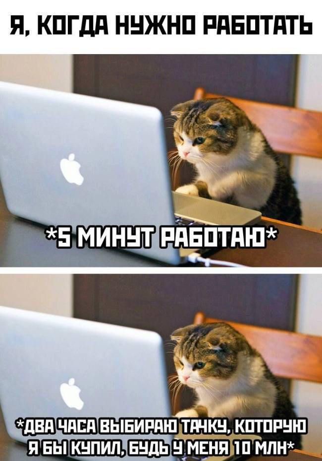 Я, когда нужно работать
*5 минут работаю*
*Два часа выбираю танк, которую я бы купил, будь у меня 10 млн*