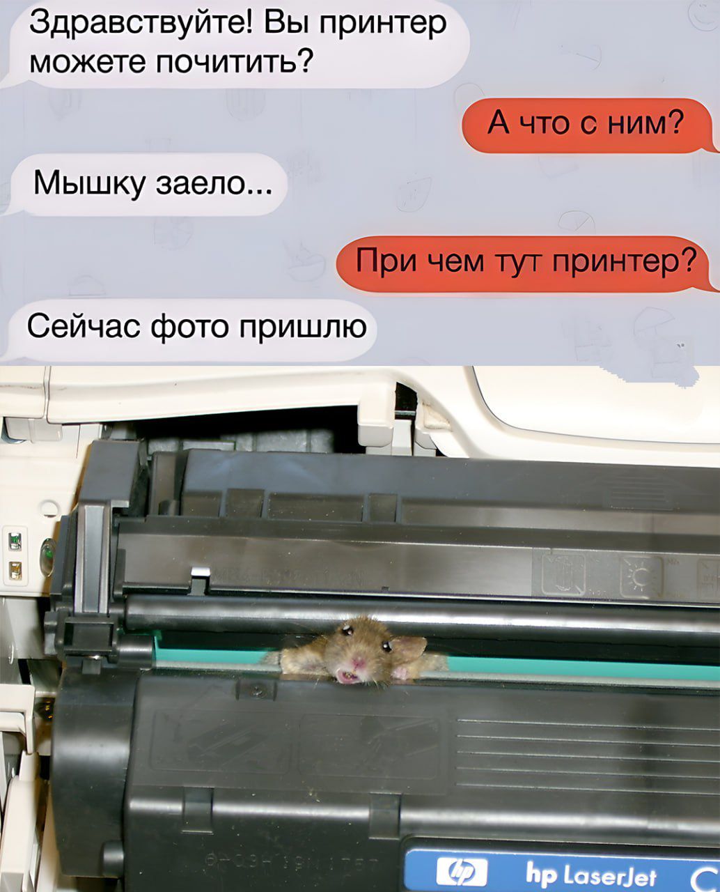 Здравствуйте! Вы принтер можете починить?
А что с ним?
Мышку заело...
При чем тут принтер?
Сейчас фото пришло