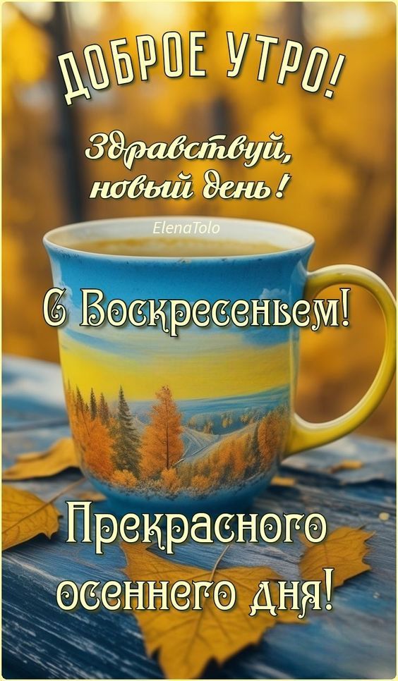 ДОБРОЕ УТРО! Здравствуй, новый день! С Воскресеньем! Прекрасного осеннего дня!