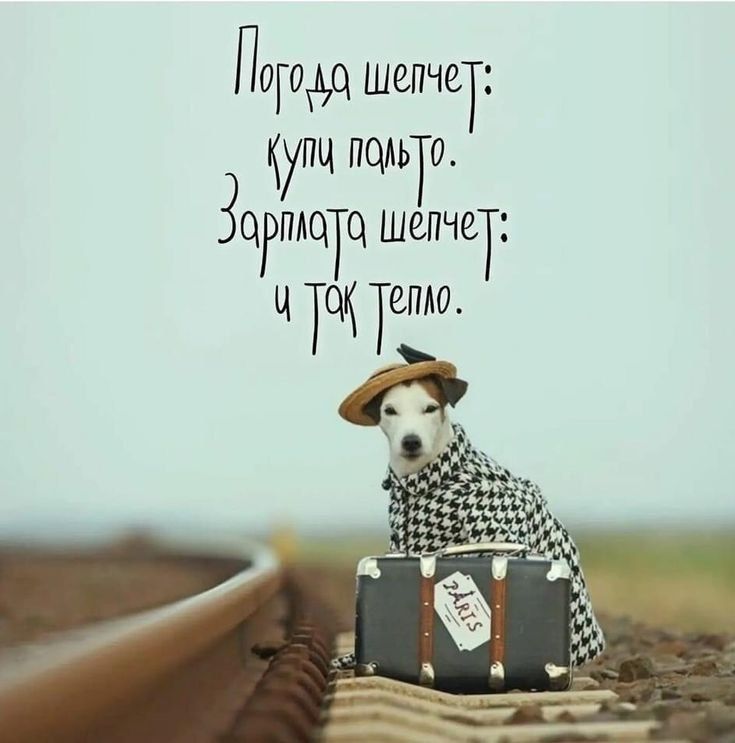 Погода шепчет: купи пальто.
Зарплата шепчет: и так тепло.