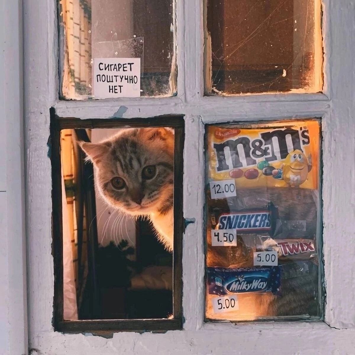 СИГАРЕТ ПОШТУЧНО НЕТ
M&M's 12.00
SNICKERS 4.50
TWIX 5.00
Milky Way 5.00