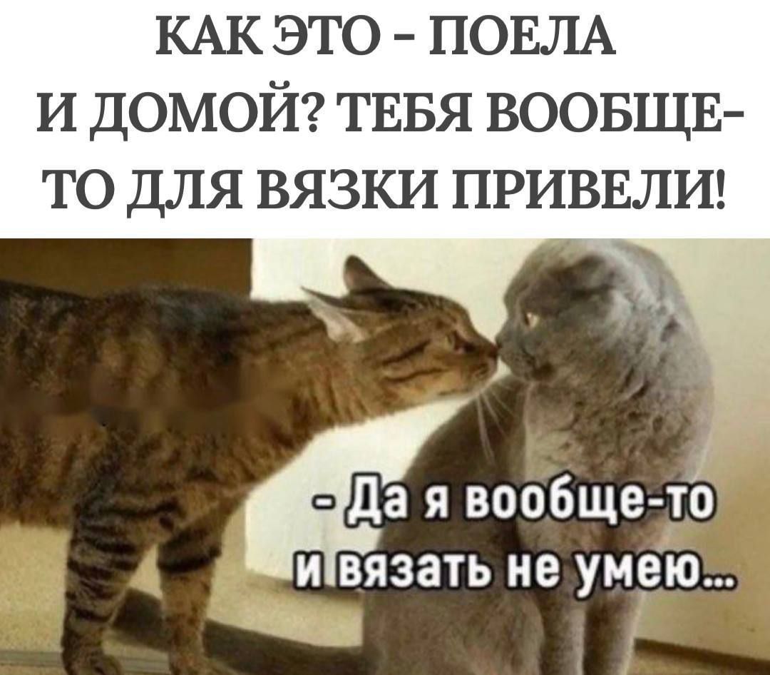 КАК ЭТО - ПОЕДЛА И ДОМОЙ? ТЕБЯ ВООБЩЕ-ТО ДЛЯ ВЯЗКИ ПРИВЕЛИ!
- Да я вообще-то и вязать не умею...