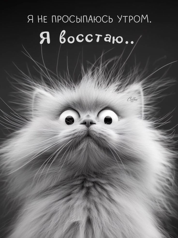 Я НЕ ПРОСЫПАЮСЬ УТРОМ. Я восстаю..