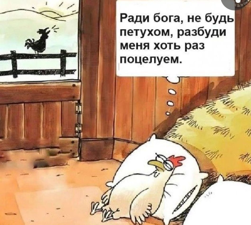 Ради бога, не будь петухом, разбуди меня хоть раз поцелуем.