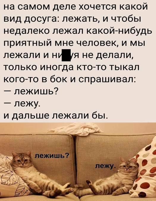 на самом деле хочется какой вид досуга: лежать, и чтобы неподалеку лежал какой-нибудь приятный мне человек, и мы лежали и низя не делали, только иногда кто-то тыкал кого-то в бок и спрашивал: — лежишь? — лежу. и дальше лежали бы. лежишь? лежу.
