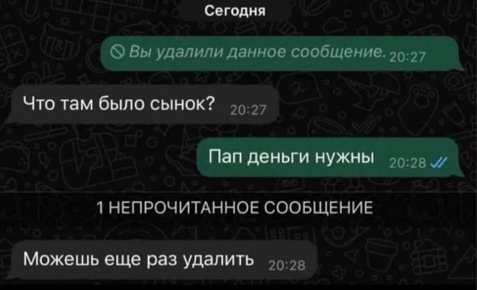 Вы удалили данное сообщение. 20:27
Что там было сынок? 20:27
Пап деньги нужны 20:28
1 НЕПРОЧИТАННОЕ СООБЩЕНИЕ
Можешь еще раз удалить 20:28