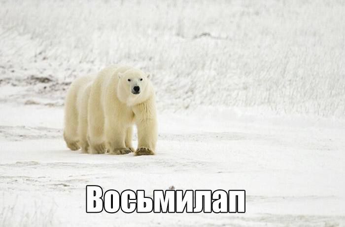 Восьмилал