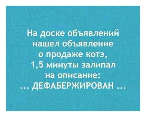 На доске объявлений нашел объявление о продаже коте, 1,5 минуты залипал на описание: ... ДЕФАБЕЖИРОВАН ...