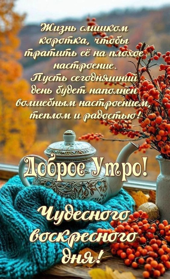 Жизнь слишком коротка, чтобы тратить её на плохое настроение. Пусть сегодняшний день будет наполнен волшебным настроением, теплом и радостью! Доброе утро! чудесного воскресного дня!