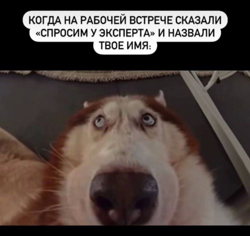 КОГДА НА РАБОЧЕЙ ВСТРЕЧЕ СКАЗАЛИ «СПРОСИМ У ЭКСПЕРТА» И НАЗВАЛИ ТВОЕ ИМЯ: