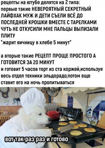 рецепты на ютьюбе делятся на 2 типа: первые такие НЕВЕРОЯТНЫЙ СЕКРЕТНЫЙ ЛАЙФХАК МУЖ И ДЕТИ СЪЕЛИ ВСЁ ДО ПОСЛЕДНЕЙ КРОШКИ ВМЕСТЕ С ТАРЕЛКАМИ ЧУТЬ НЕ ОТКУСИЛИ МНЕ ПАЛЬЦЫ ВЫЛИЗАЛИ ПЛИТУ *жарит яичницу в хлебе 5 минут* а вторые такие РЕЦЕПТ ПРОЩЕ ПРОСТОГО А ГОТОВИТСЯ ЗА 20 МИНУТ и ГОТОВИТ 5 ЧАСОВ ТОРТ ИЗ СТА КОРЖЕЙ, ИСПОЛЬЗУЯ ВСЕ ОТДЕЛ ТЕХНИКИ ЭЛЬДРОДО, ПОТОМ ЕЩЕ СТАВИТ ЕГО НА НОЧЬ ПРОПИТЫВАТЬСЯ