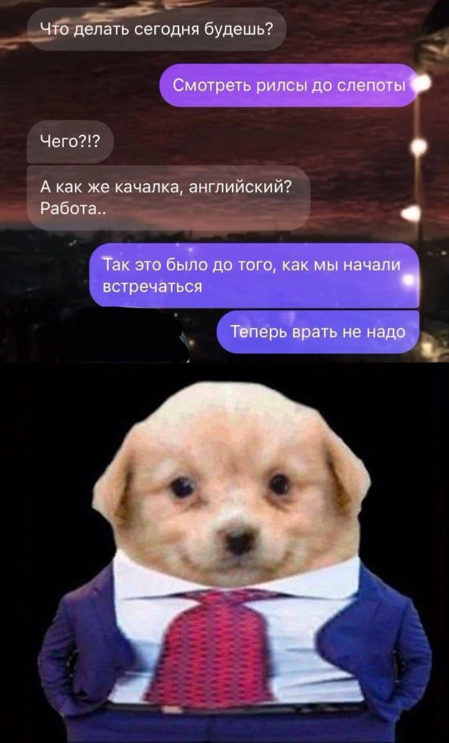 Что делать сегодня будешь? Смотреть рилсы до слепоты. Чего?!? А как же качалка, английский? Работа.. Так это было до того, как мы начали встречаться. Теперь врать не надо