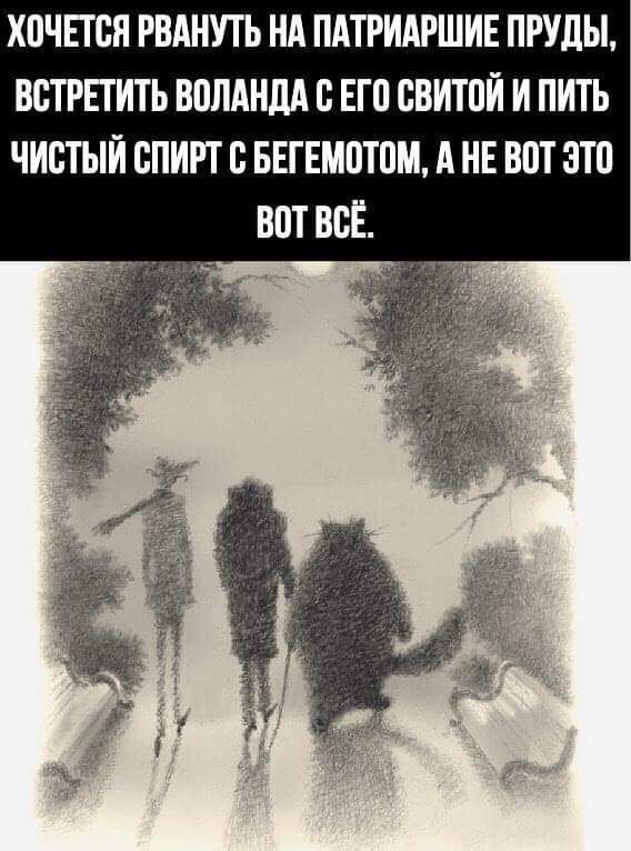 Хочется рвануть на патриаршие пруды, встретить Воланда с его свитой и пить чистый спирт с бегемотом, а не вот это вот всё.