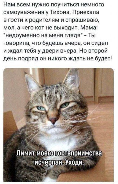 Нам всем нужно поучиться немного самоуважения у Тихона. Приехала в гости к родителям и спрашиваю, мол, а чего кот не выходит. Мама: *недоуменно на меня глядя* - Ты говорила, что будешь вчера, он сидел и ждал тебя у дверей вчера. Но второй день подряд он никого ждать не будет! Лимит моего гостеприимства исчерпан. Уходи.