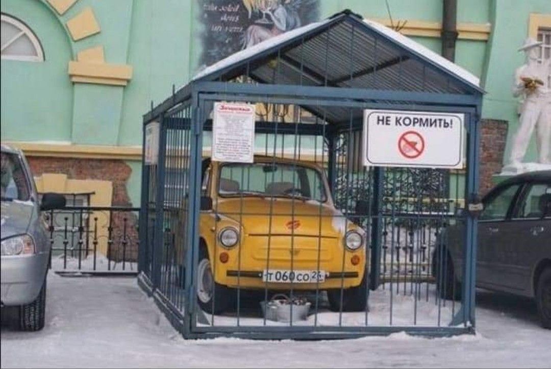 НЕ КОРМИТЬ!