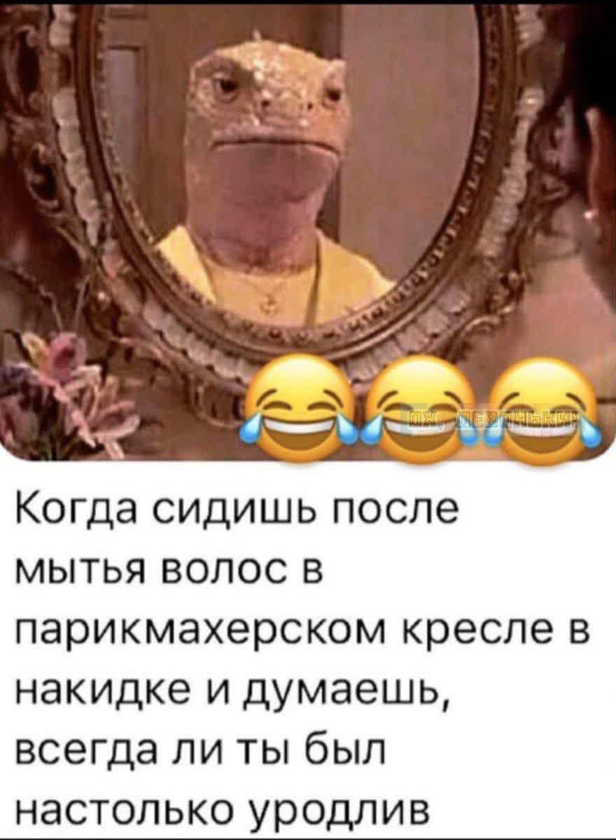 😂😂😂 Когда сидишь после мытья волос в парикмахерском кресле в накидке и думаешь, всегда ли ты был настолько уродлив