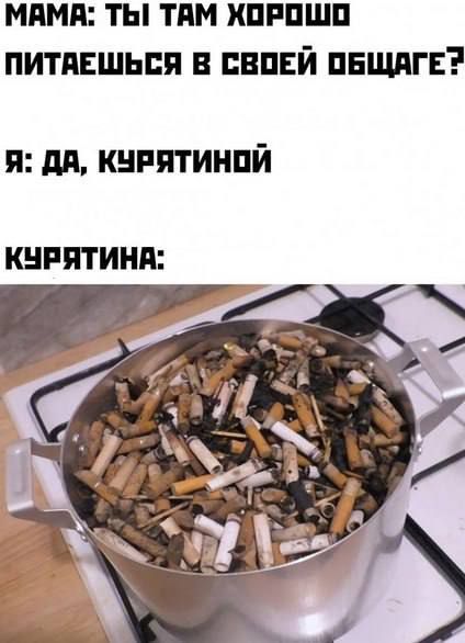 МАМА: ТЫ ТАМ ХОРОШО ПИТАЕШЬСЯ В СВОЕЙ ОБЩАГЕ?
Я: ДА, КУРЯТИНОЙ
КУРЯТИНА: