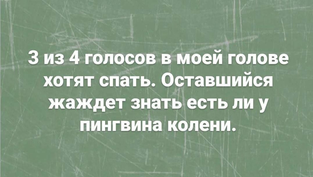 3 из 4 голосов в моей голове хотят спать. Оставшийся жаждет знать есть ли у пингвина колени.