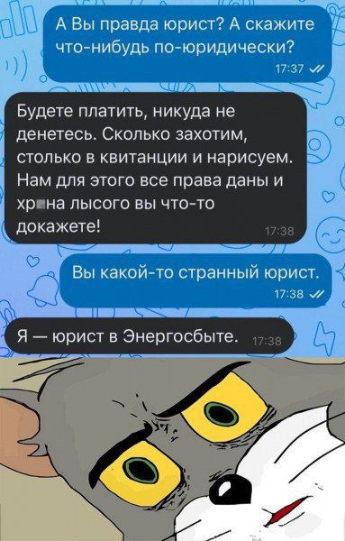 А Вы правда юрист? А скажите что-нибудь по-юридически? Будете платить, никуда не денетесь. Сколько захотим, столько в квитанции и нарисуем. Нам для этого все права даны и хрена лысого вы что-то докажете! Вы какой-то странный юрист. Я — юрист в Энергосбыте.