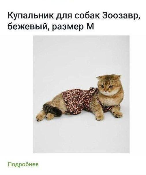 Купальник для собак Зоозавр, бежевый, размер М