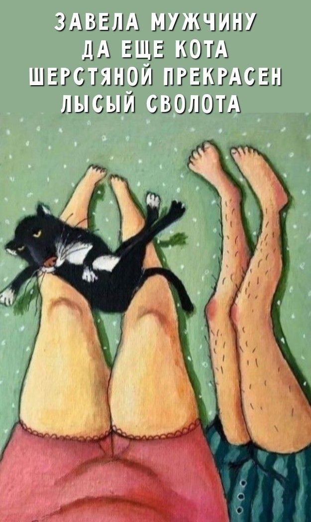Завела мужчину да еще кота шерстяной прекрасен лысый сводола