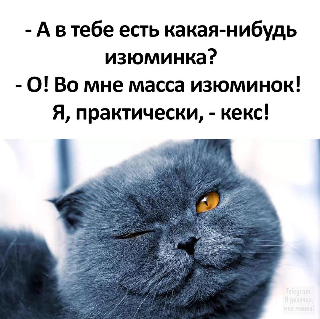 - А в тебе есть какая-нибудь изюминка?
- О! Во мне масса изюминок! Я, практически, - кекс!