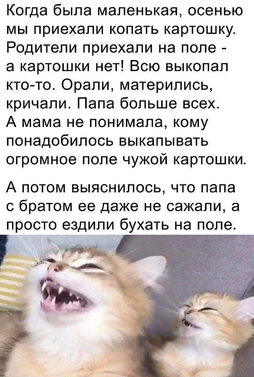 Когда была маленькая, осенью мы приехали копать картошку. Родители приехали на поле — а картошки нет! Всю выкопал кто-то. Орали, матерились, кричали. Папа больше всех. А мама не понимала, кому понадобилось выкопывать огромное поле чужой картошки. А потом выяснилось, что папа с братом её даже не сажали, а просто ездили бухать на поле.