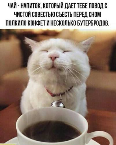 ЧАЙ - НАПИТОК, КОТОРЫЙ ДАЕТ ТЕБЕ ПОВОД С ЧИСТОЙ СОВЕСТЬЮ СЪЕСТЬ ПЕРЕД СНОМ ПОЛКИЛО КОНФЕТ И НЕСКОЛЬКО БУТЕРБРОДОВ.