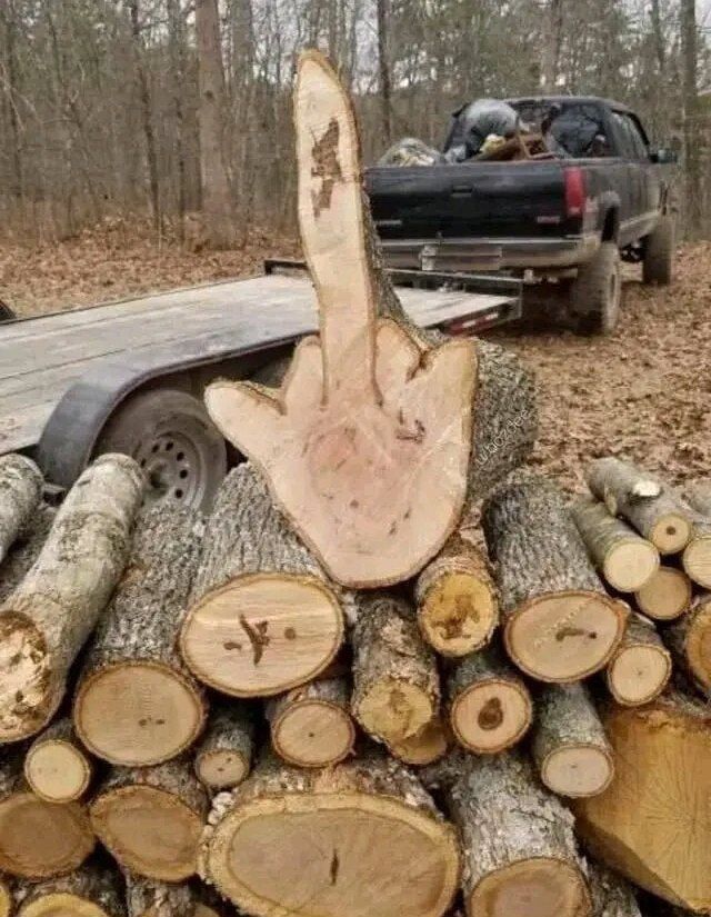 Куча сырых дров и большая заготовка в форме руки на фоне прицепа авто
