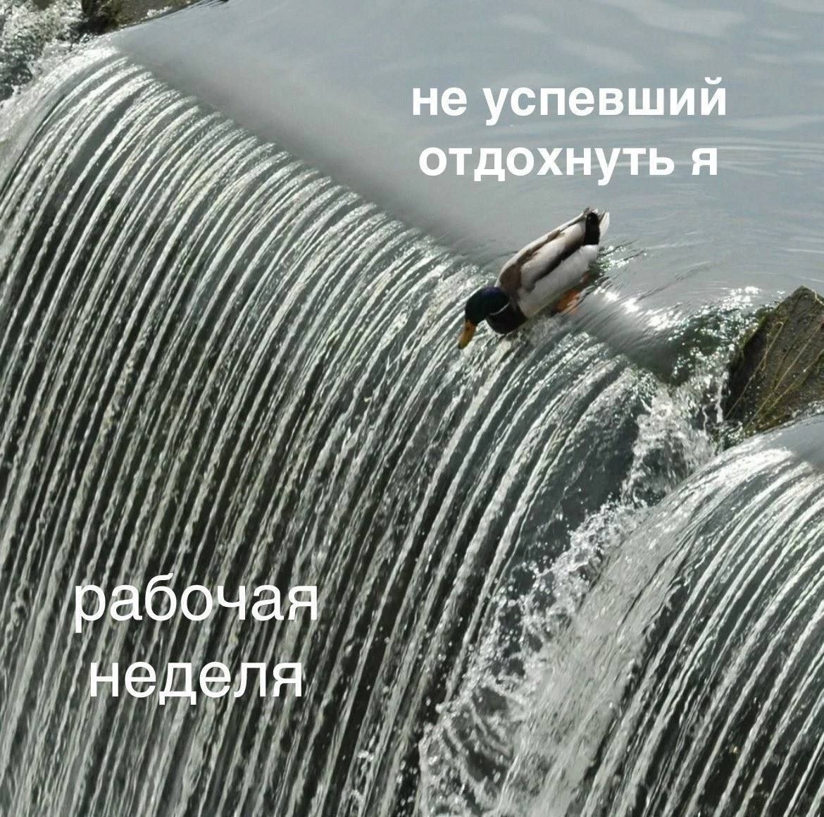 не успевший отдохнуть я
рабочая неделя