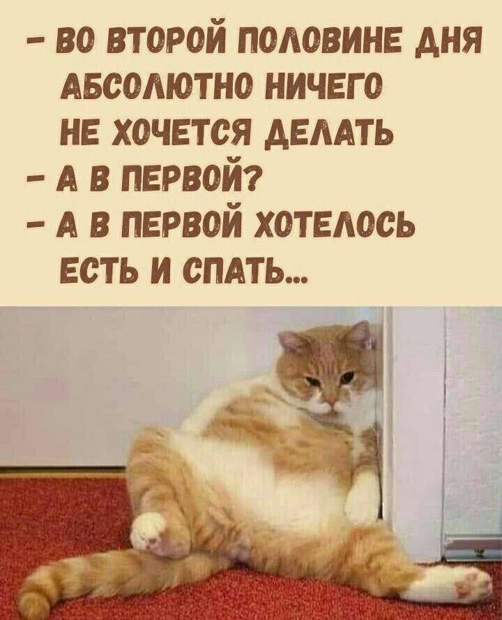 - во второй половине дня абсолютно ничего не хочется делать
- а в первый?
- а в первый хотелось есть и спать...