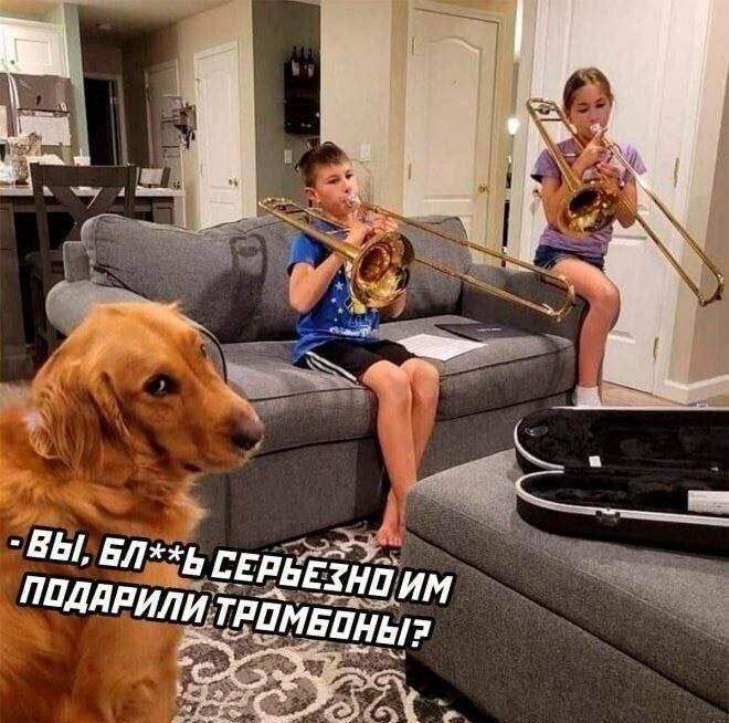 - вы, бл** серьёзно им подарили тромбоны?