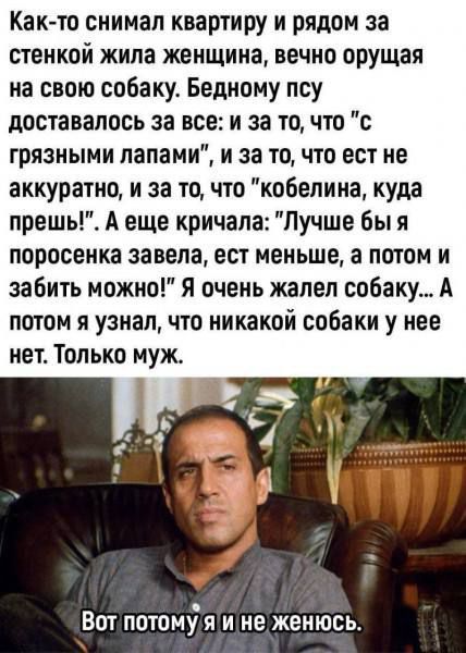 Как-то снимал квартиру и рядом за стенкой жила женщина, вечно орущая на свою собаку. Бедному псу доставалось за всё: и за то, что 