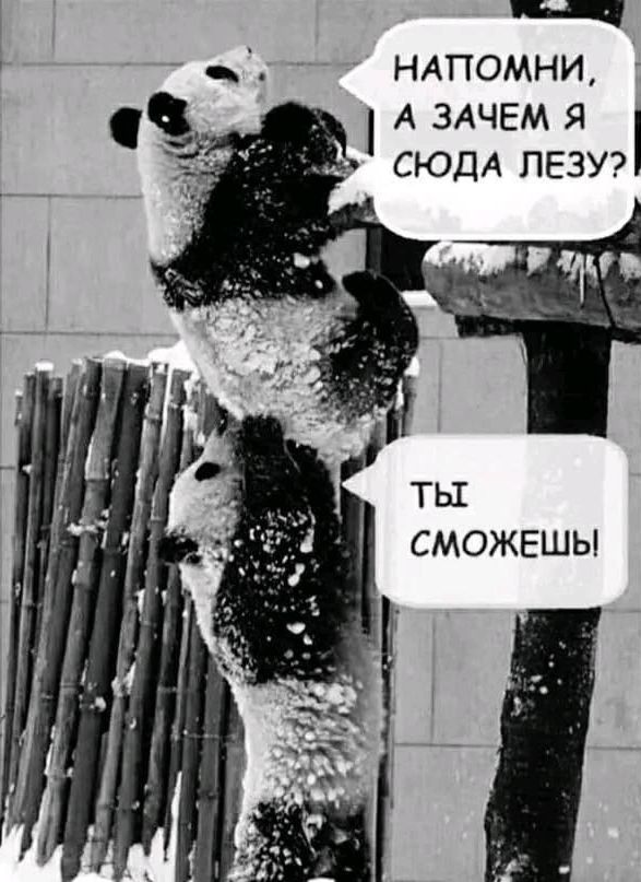 Напомни, а зачем я сюда лезу? Ты сможешь!