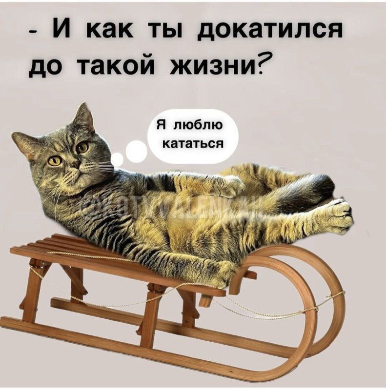 - И как ты докатился до такой жизни?
Я люблю кататься
