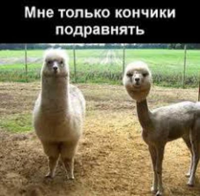 Мне только кончики подравнять