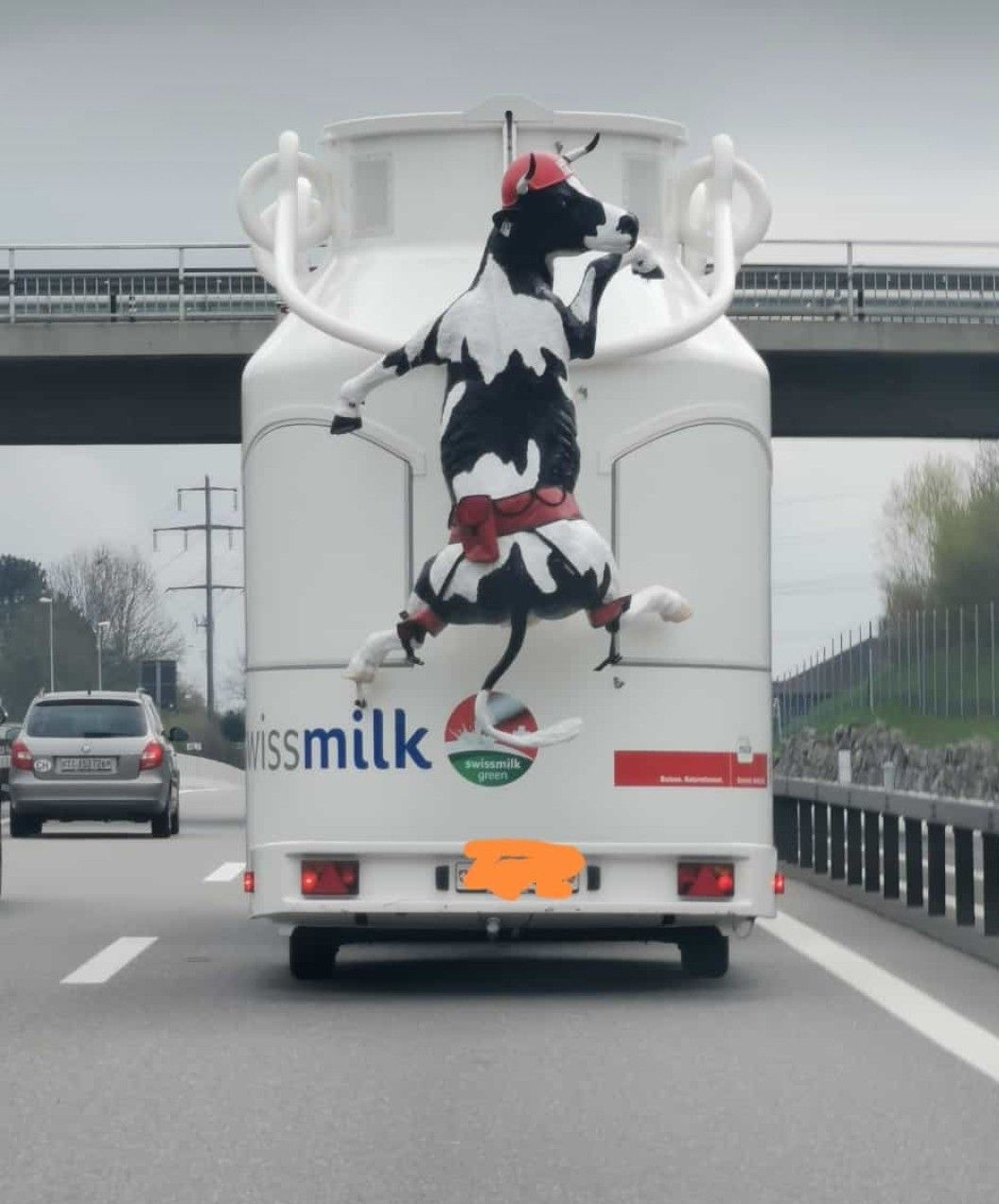 Swiss milk