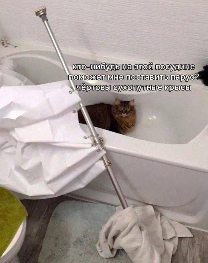 КТО-НИБУДЬ на этой посудине поможет мне поставить парус? чёртовы сухопутные крысы