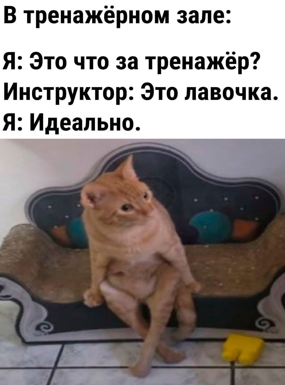 В тренажёрном зале:
Я: Это что за тренажёр?
Инструктор: Это лавочка.
Я: Идеально.