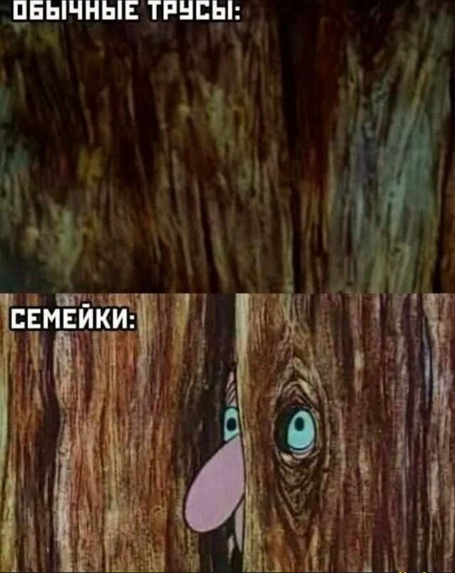 ОБЫЧНЫЕ ТРУСЫ:
СЕМЕЙКИ:
